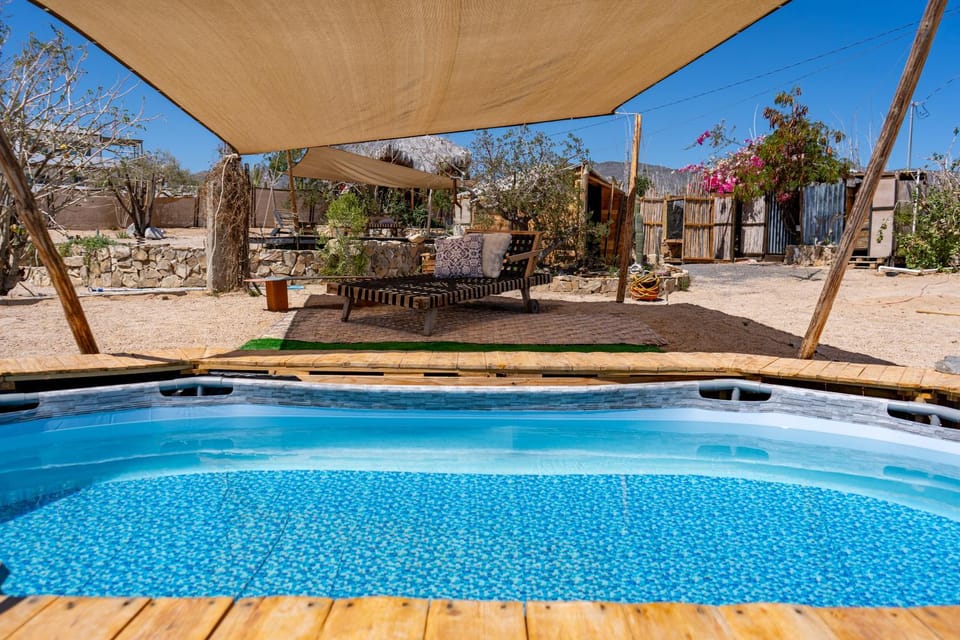 Natural landscape, Garden, Swimming pool, sunbed