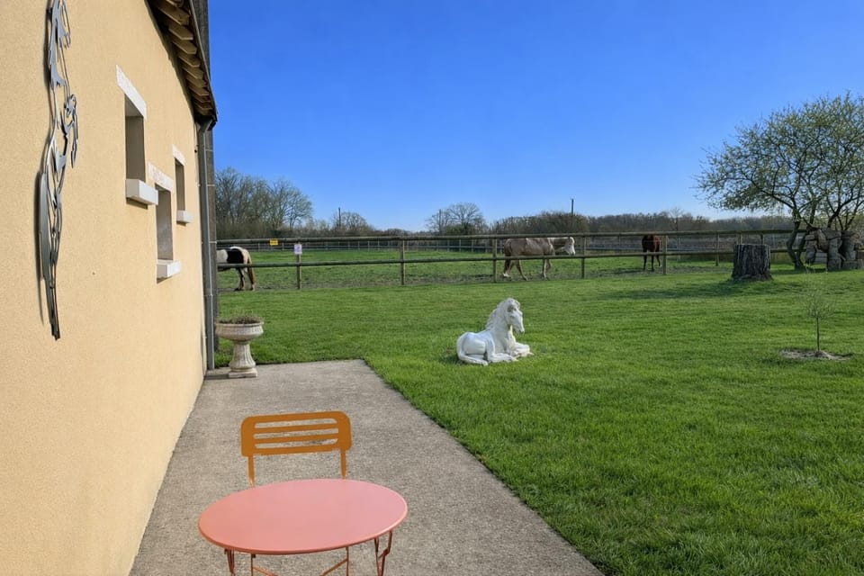 Logement indépendant à la campagne proche du Pôle européen du Cheval et Circuit des 24h du Mans Apartment in Pays de la Loire