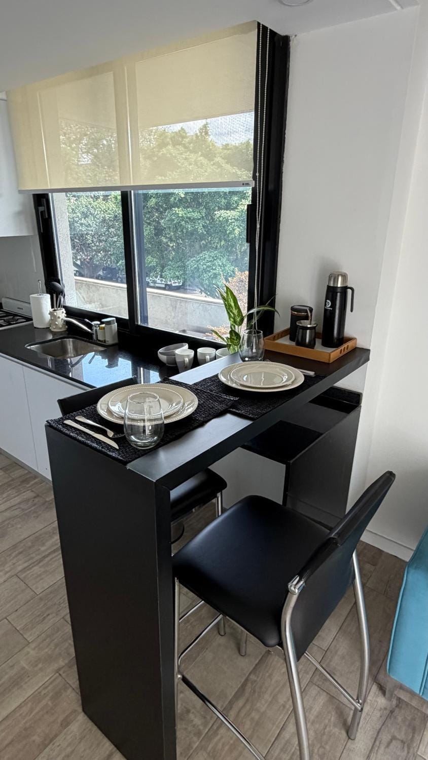 Dpto Francia Apartment in Rosario