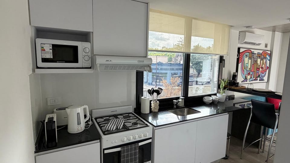 Dpto Francia Apartment in Rosario