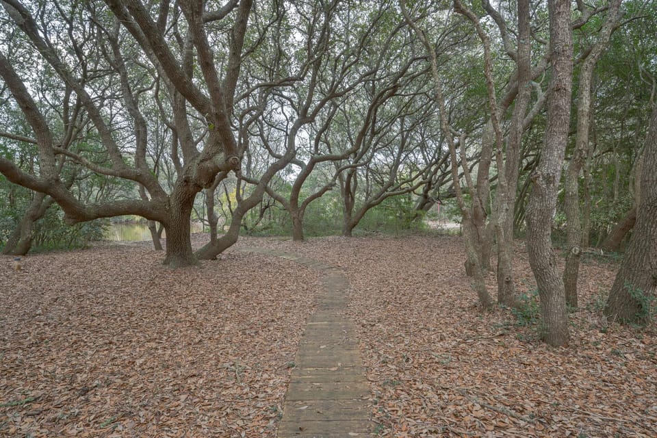 2505 - Duck Duck Goose House in Duck