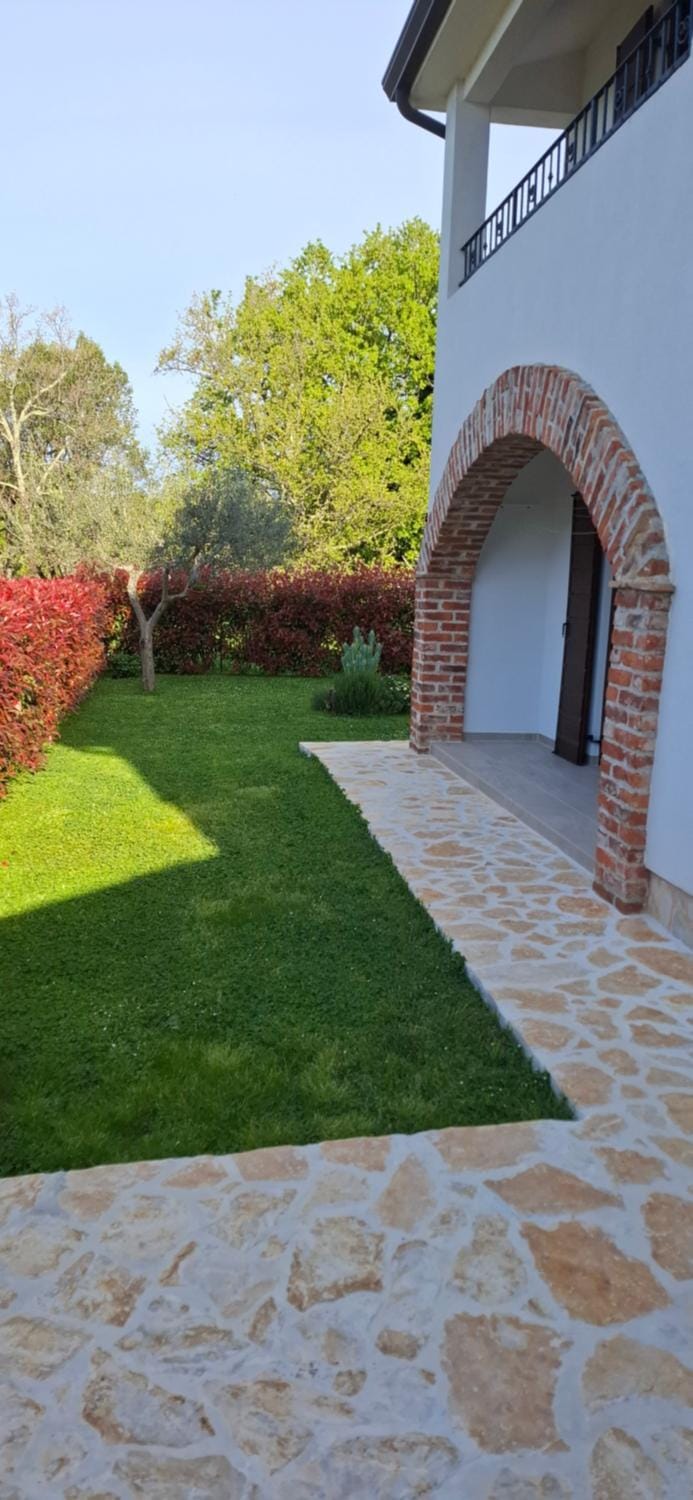 Patio, Garden, Food, Garden view, Dinner