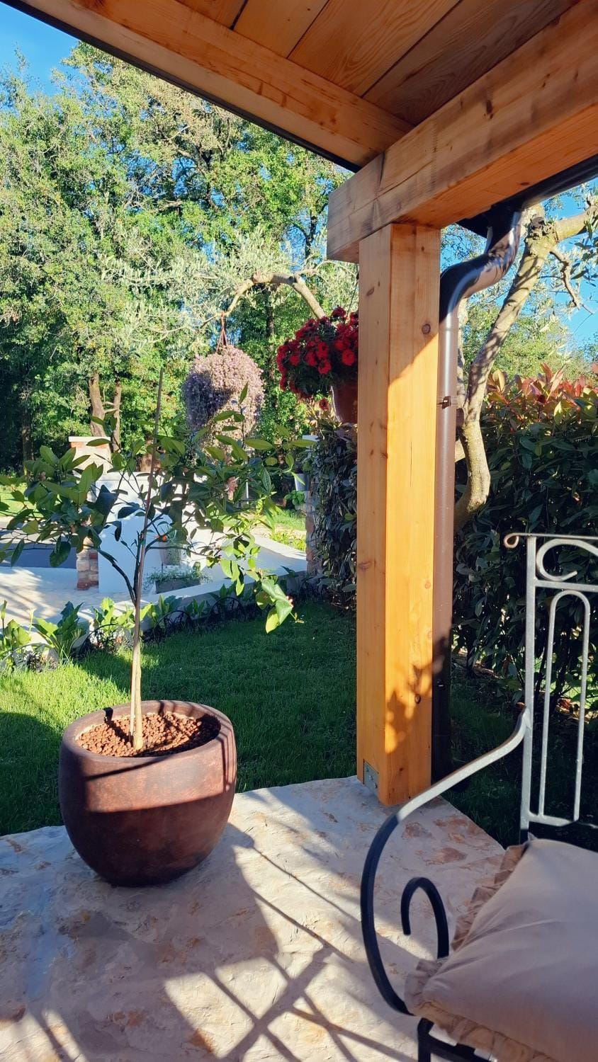 Patio, Spring, Garden, Garden view