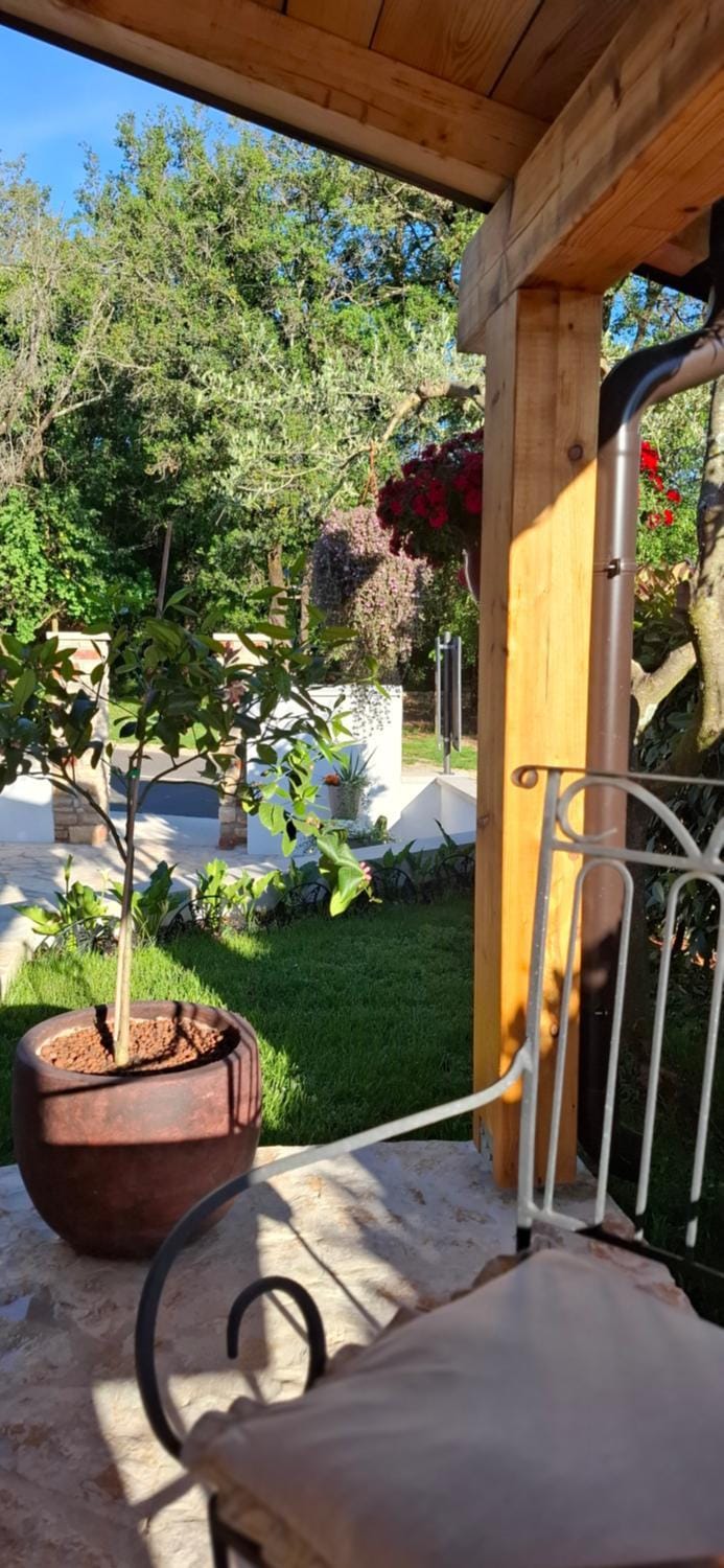 Patio, Spring, Day, Garden, Seating area, Garden view