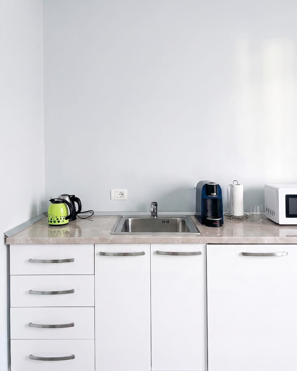 Coffee/tea facilities, Kitchen or kitchenette, minibar, stove, toaster