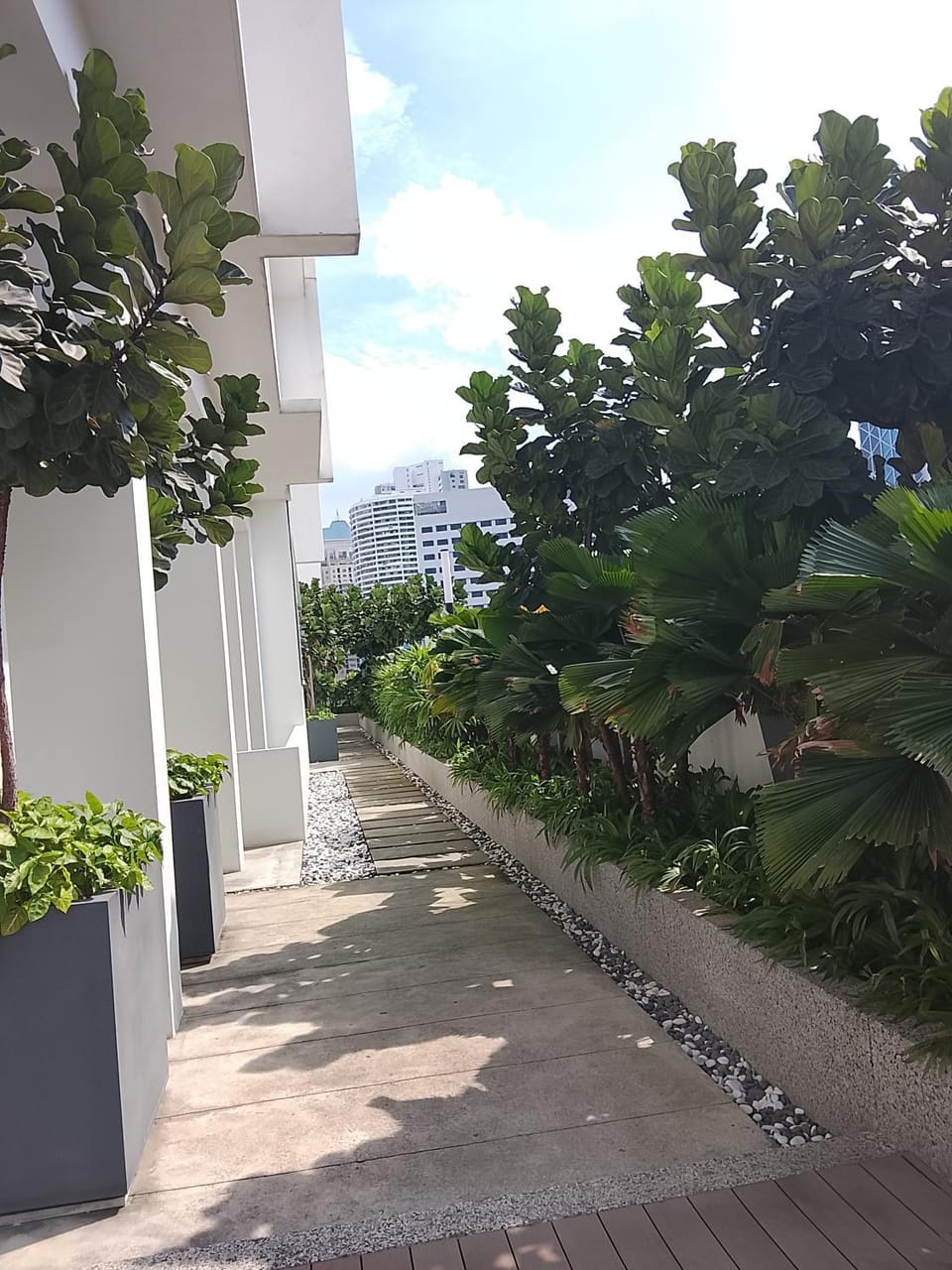 Garden, Garden view