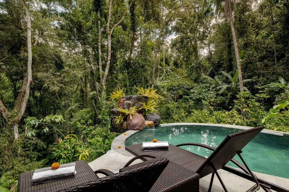 Natural landscape, Garden, Garden view, Pool view, Swimming pool