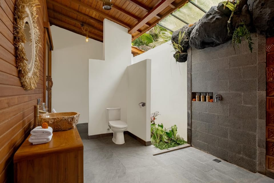 Toilet, Bathroom, towels
