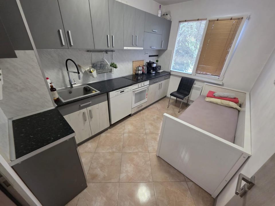 Coffee/tea facilities, Kitchen or kitchenette, dishwasher, minibar, oven, pet friendly, stove, toaster