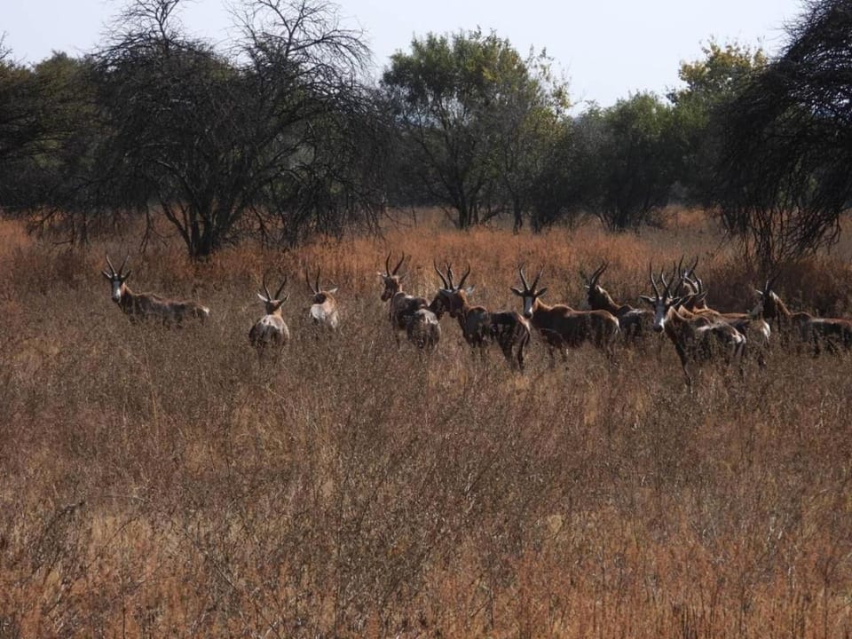 Deltrade Wedding and Camp Campground/ 
RV Resort in Gauteng