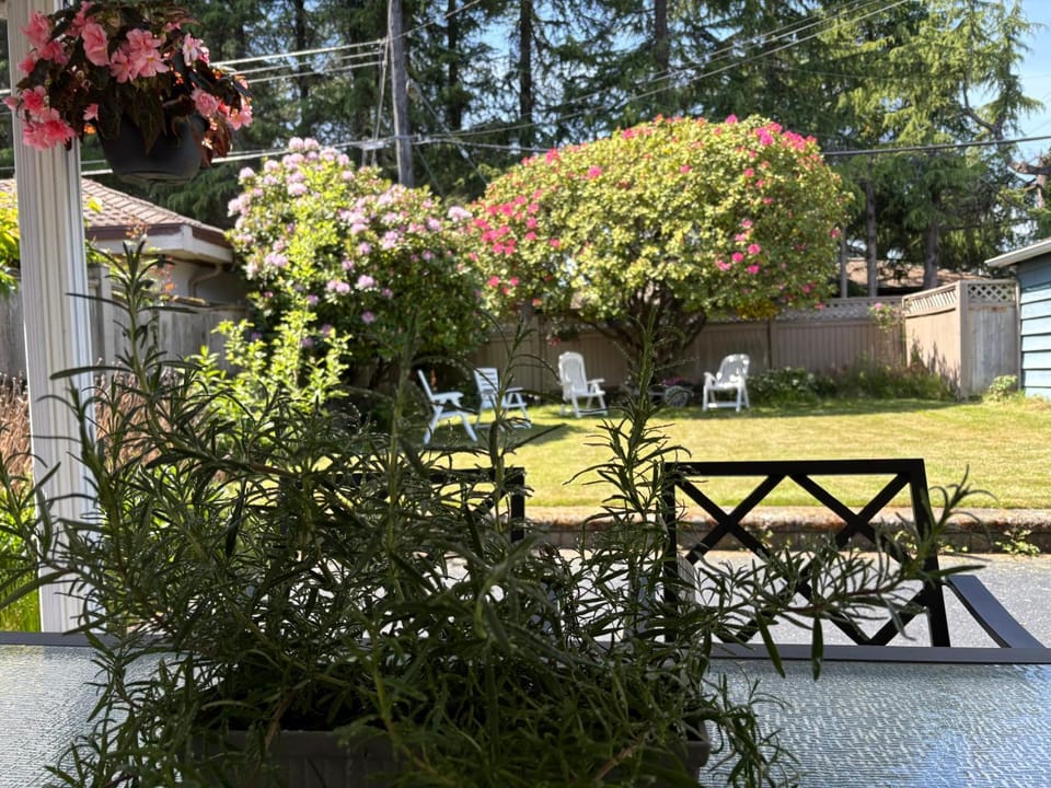 Garden, Garden view
