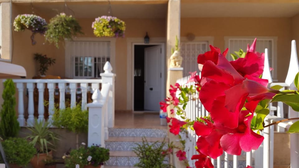 Patio, Garden