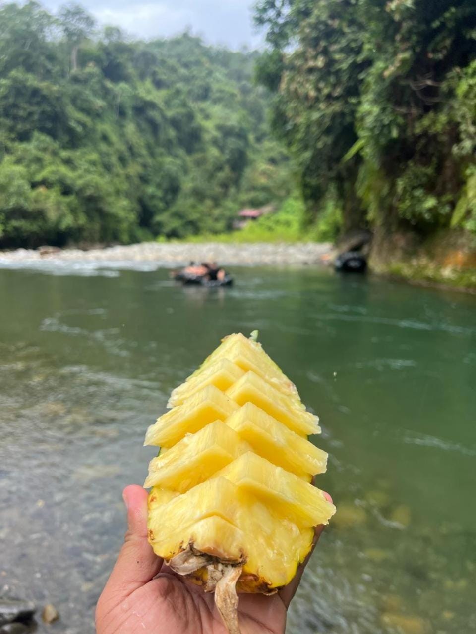Day, Natural landscape, Food and drinks, Food, Mountain view, River view