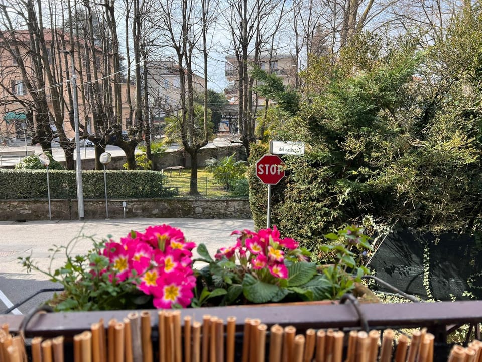 Spring, Day, Natural landscape, Garden, Garden view