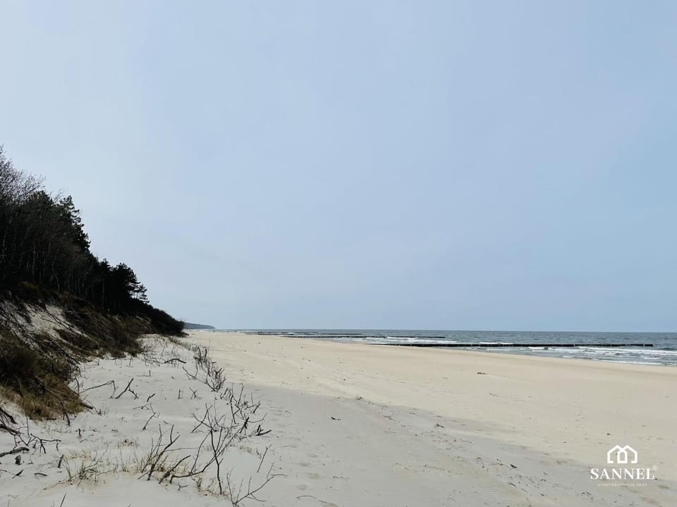 Day, Natural landscape, Beach