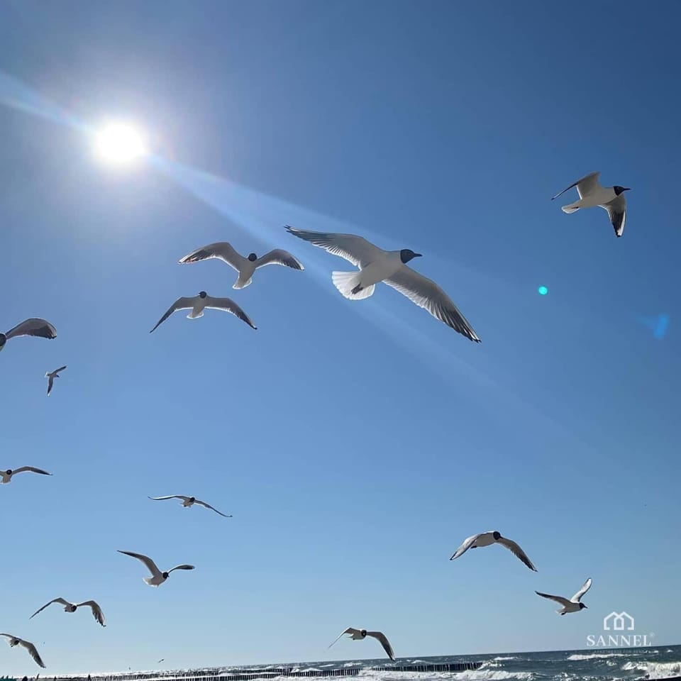 Day, Natural landscape, Beach