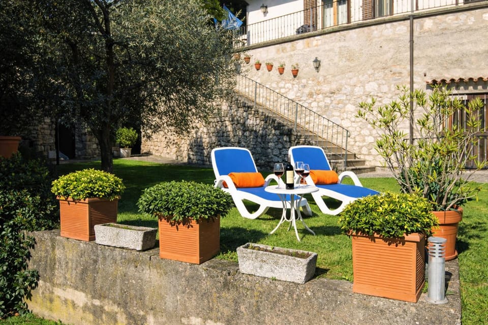 Patio, Garden, Garden view