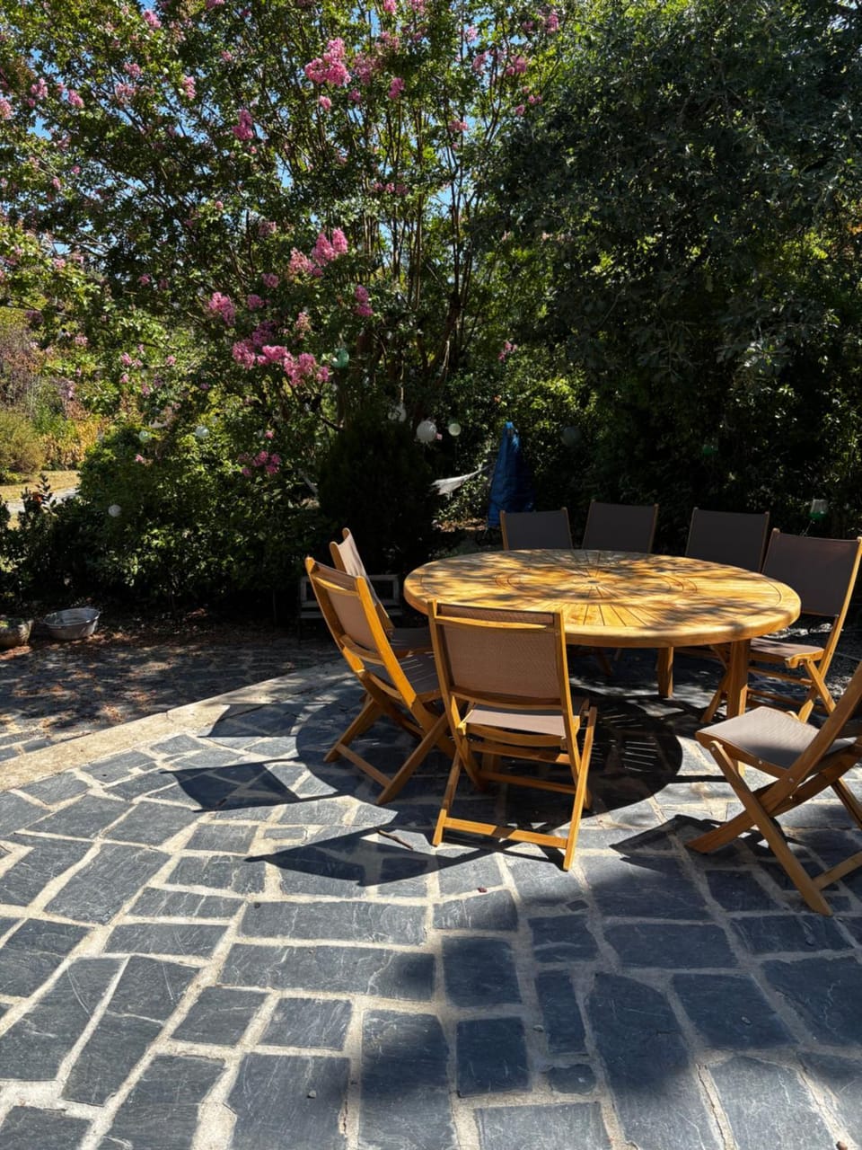Maison familiale face au lac de Saint-Ferréol Villa in Occitanie