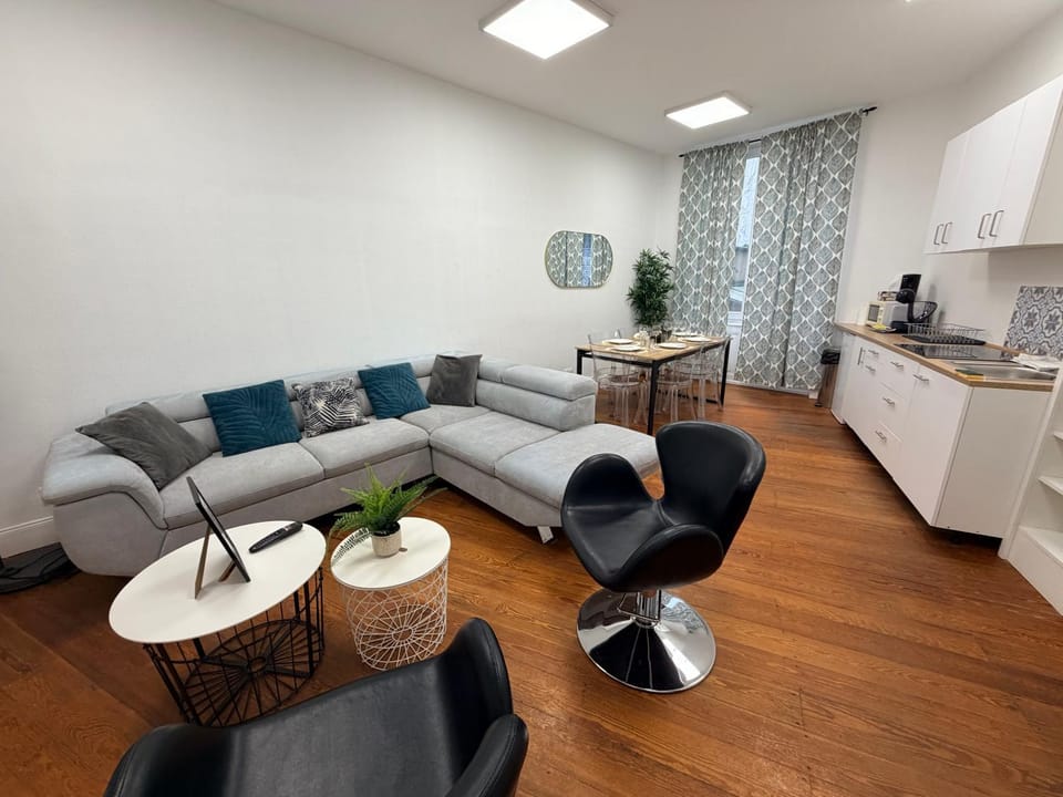 Grand appartement Avenue des Vosges 6-8 people Apartment in Strasbourg