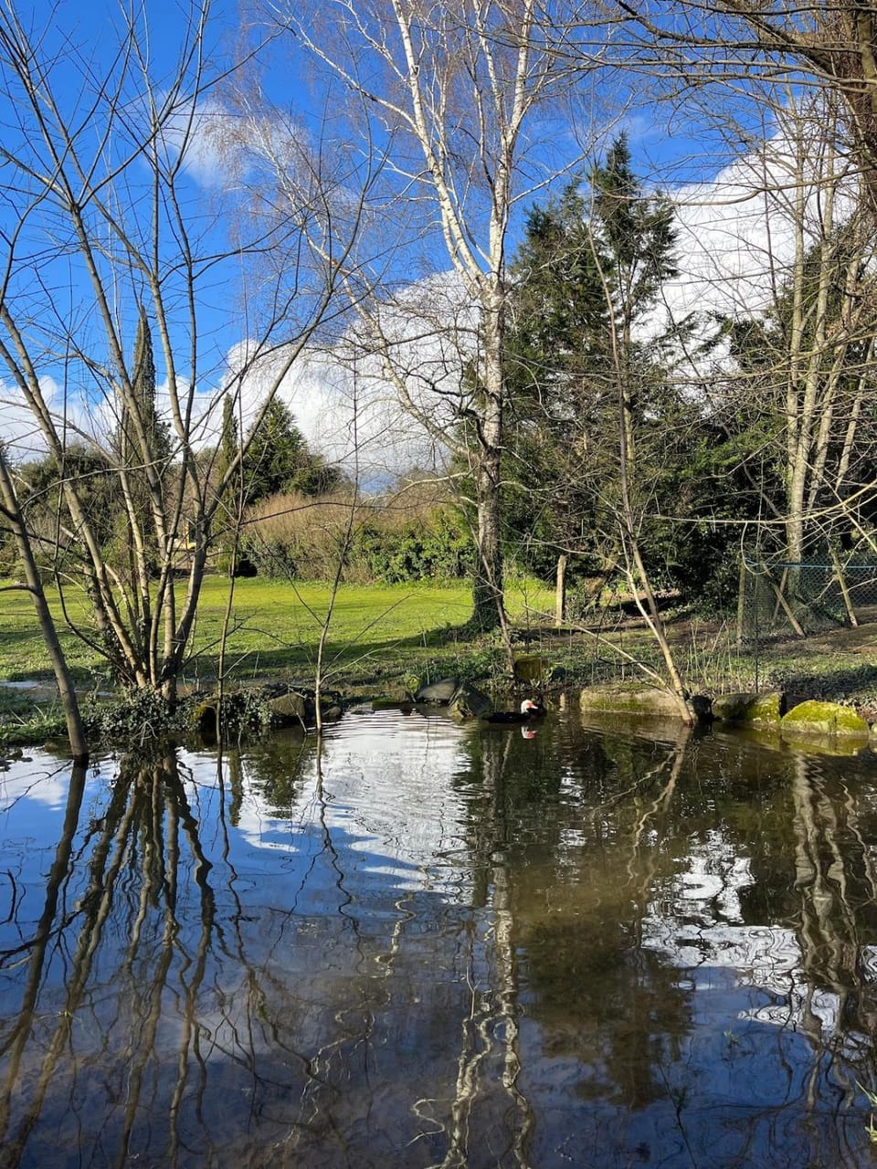 Green Box - be in nature with direct train to Porto Chalet in Porto District