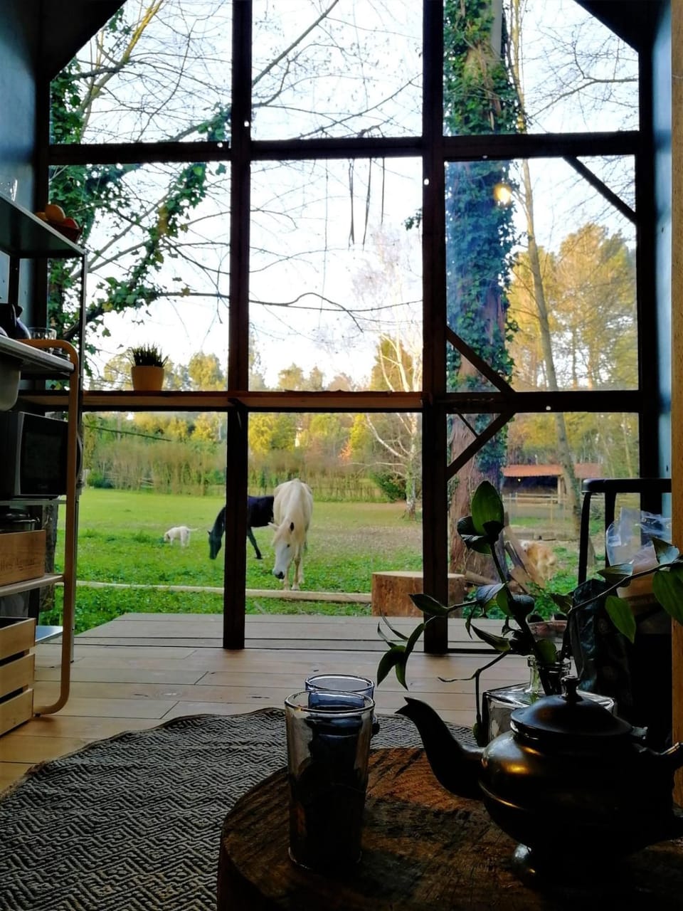 Green Box - be in nature with direct train to Porto Chalet in Porto District