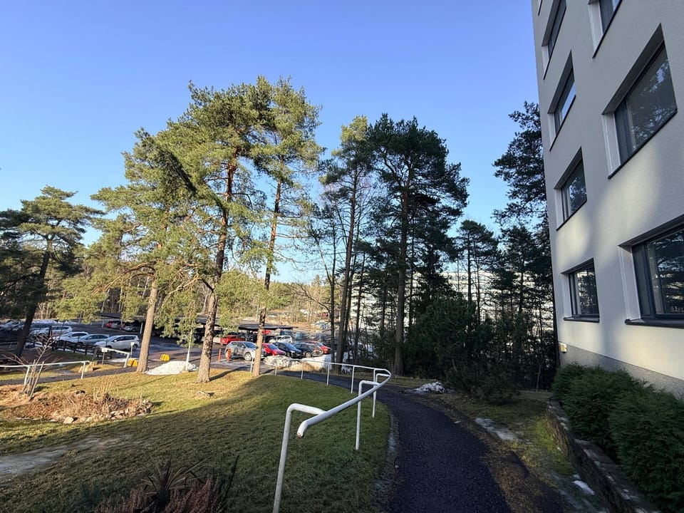 Property building, Spring, Neighbourhood, Natural landscape, Garden view, Parking