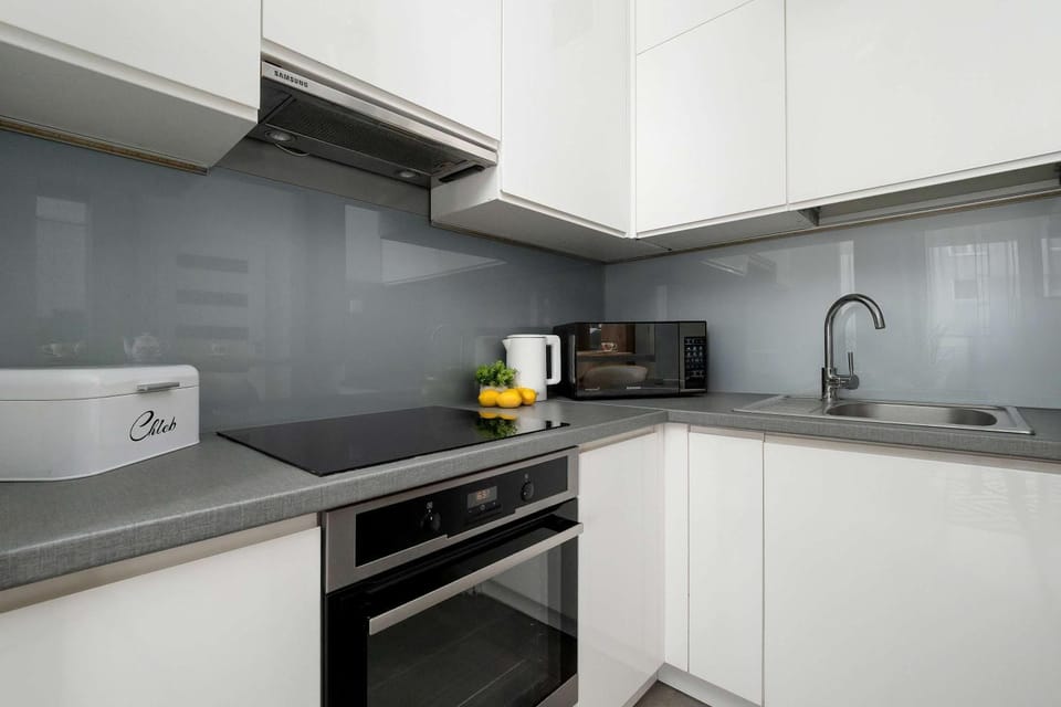 Kitchen or kitchenette, dishwasher, stove