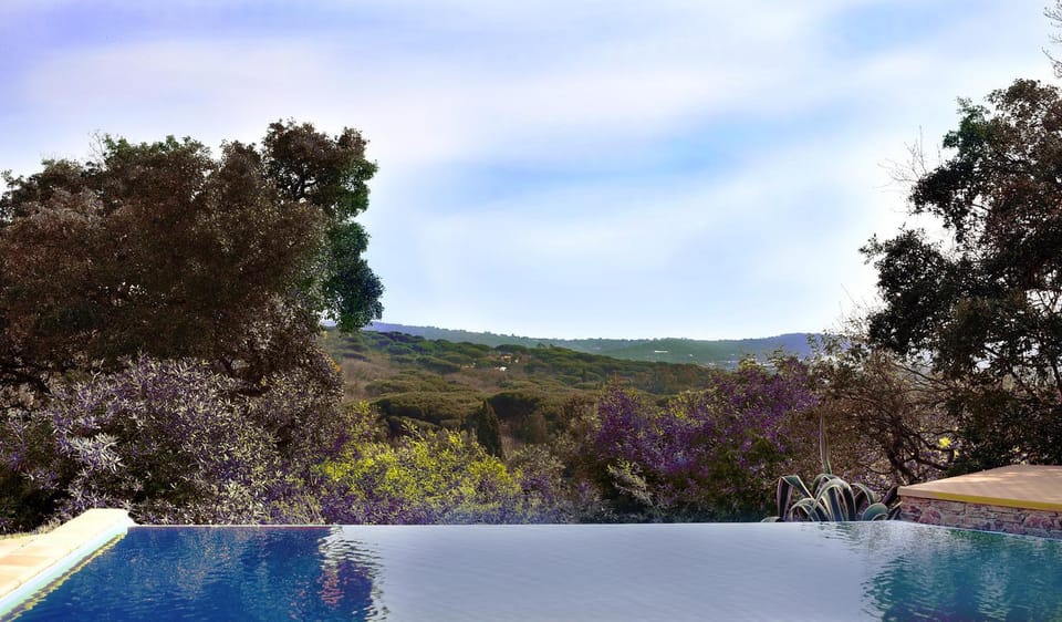 Luxury Villa, Infinity Pool, Beach 5 min Villa in Gassin