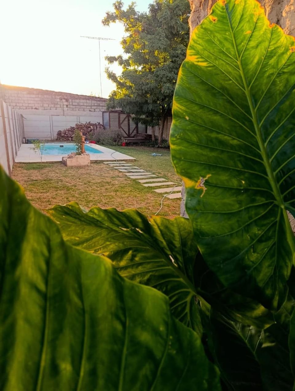 La Micha House in Chascomús
