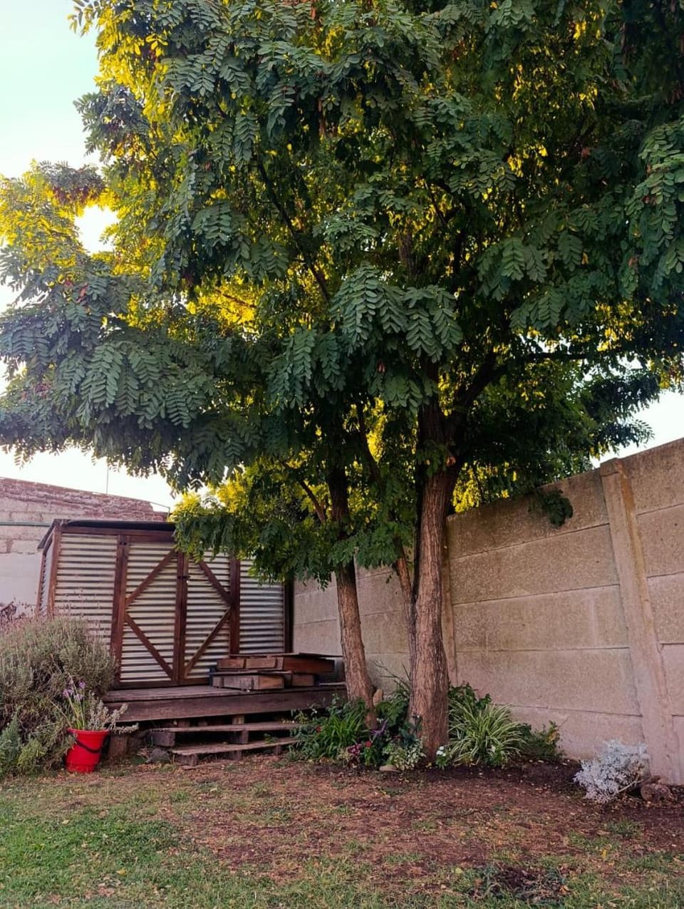 La Micha House in Chascomús