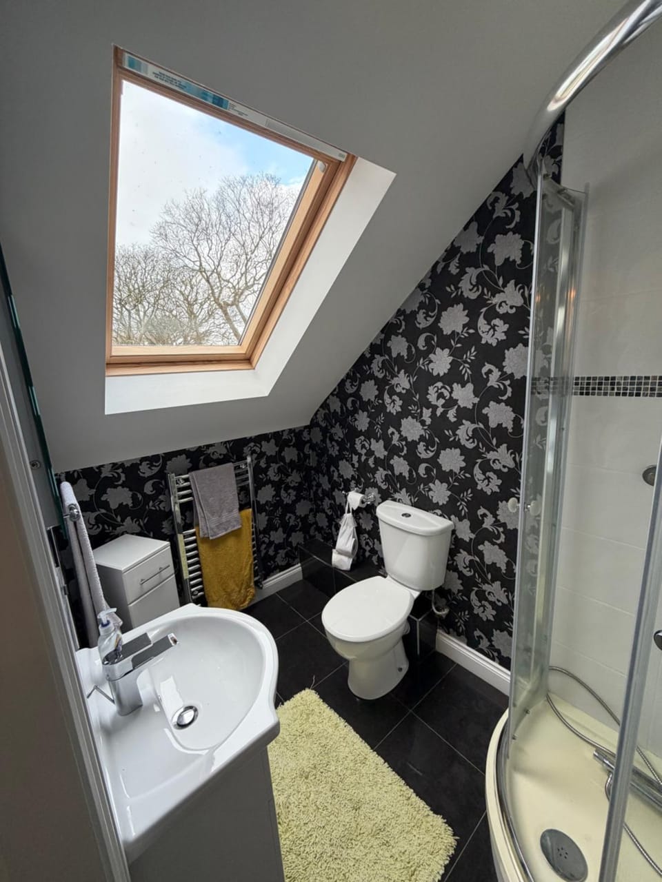 Shower, Toilet, Bathroom