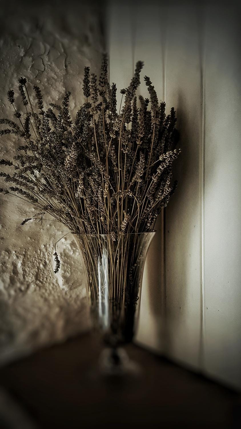 Lilyum Alaçatı - Taş Ev Bed and Breakfast in Alaçatı