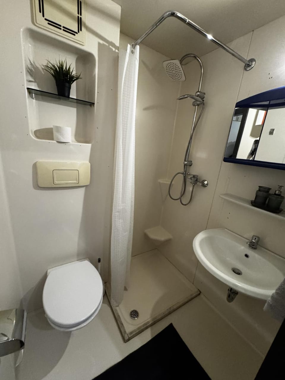 Shower, Toilet, Bathroom