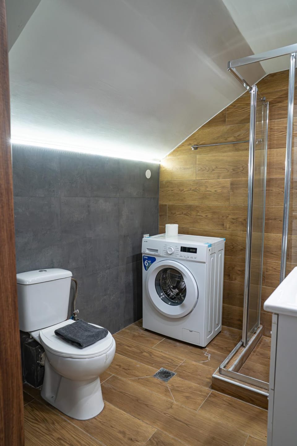 Shower, Bathroom, Photo of the whole room, Decorative detail, towels, washing machine