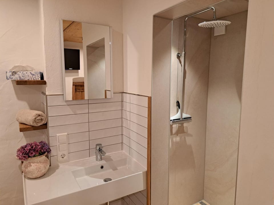 Bathroom, Living room