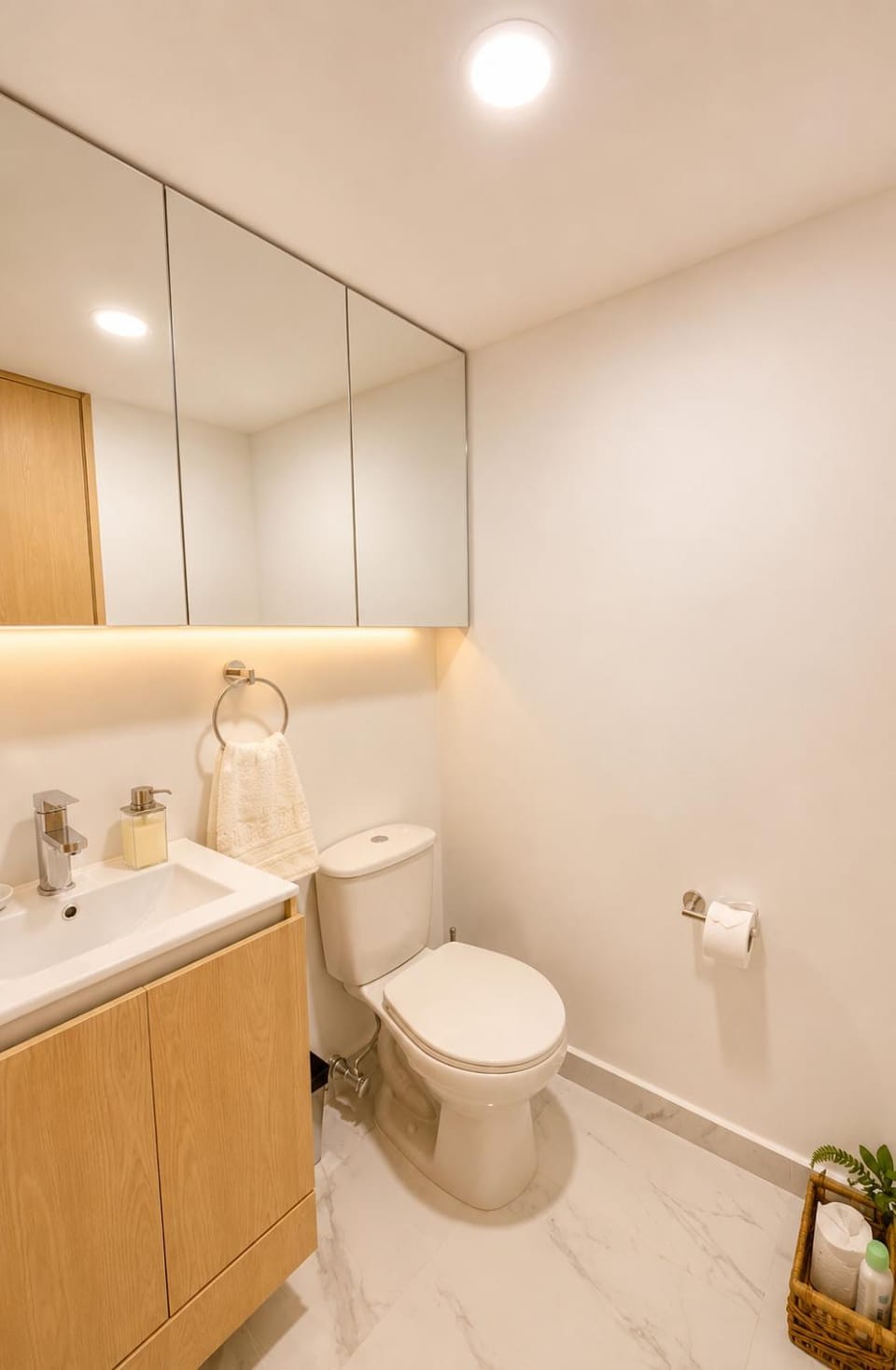 Toilet, Bathroom