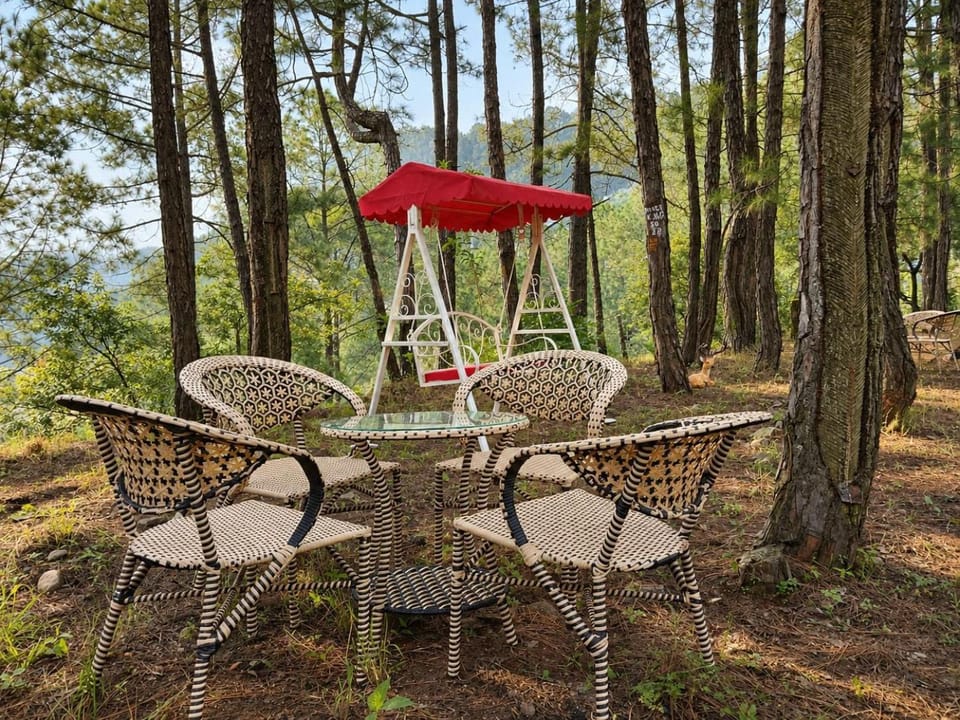 Minara Meadows Kasauli Apartment in Himachal Pradesh