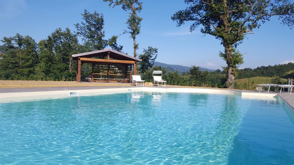 Swimming pool, Swimming pool