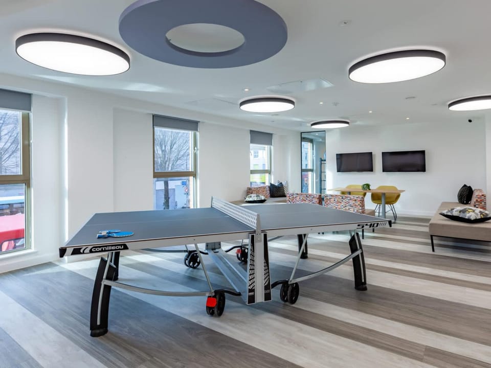 Table tennis, Table tennis