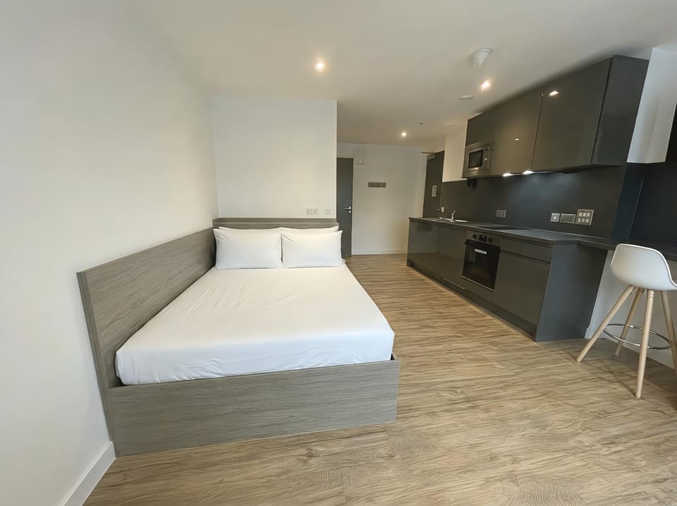 Bed, Kitchen or kitchenette, Photo of the whole room, oven
