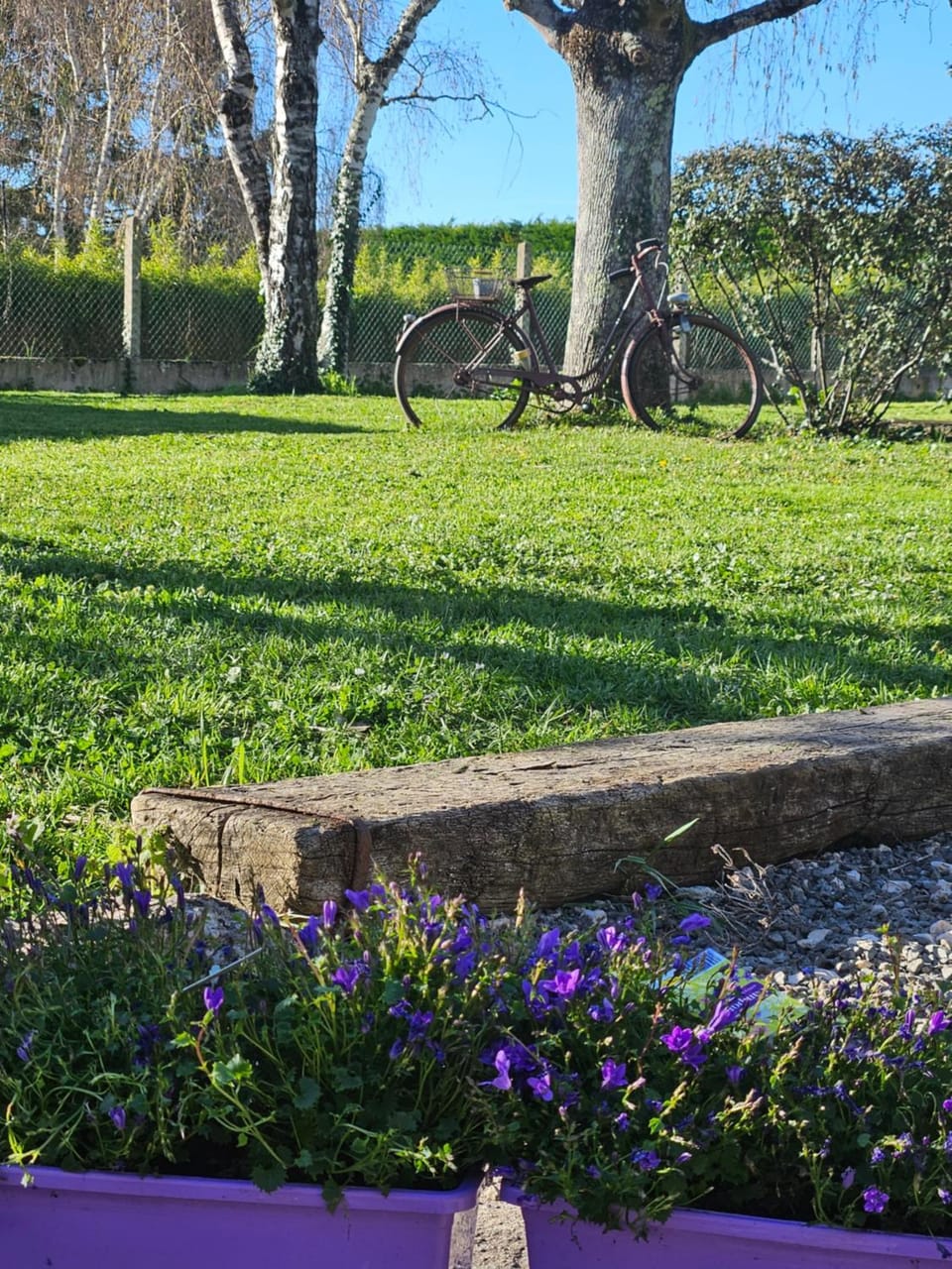 Natural landscape, Garden, Garden view