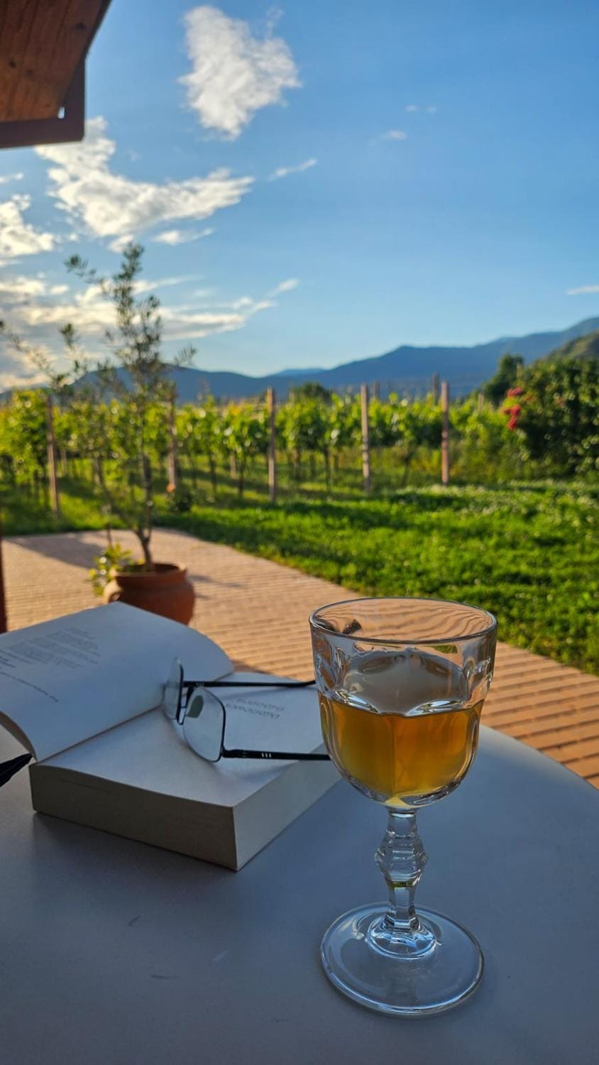 Day, Natural landscape, Balcony/Terrace, Food and drinks, Dining area, Mountain view