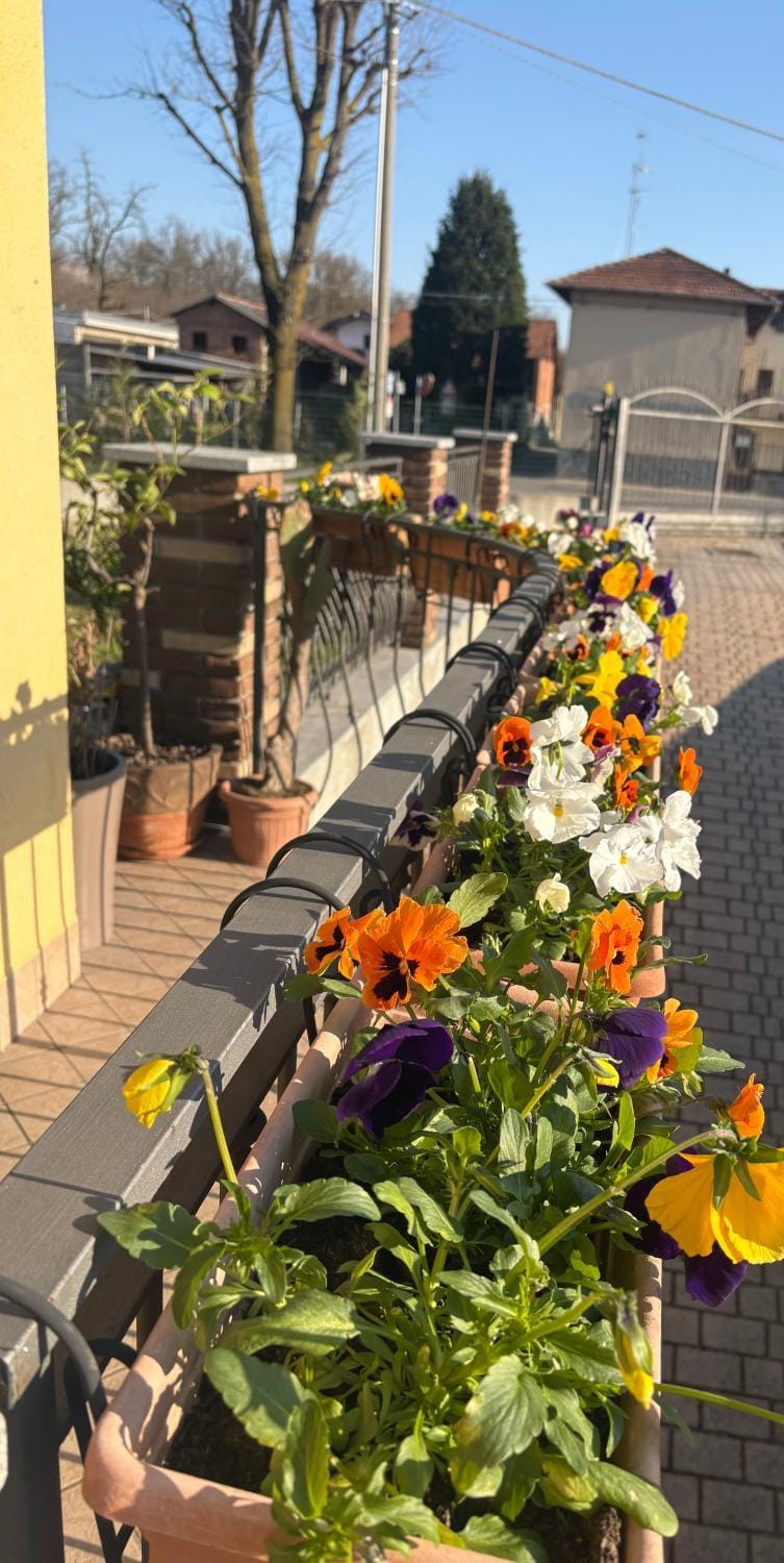 Balcony/Terrace, Garden view
