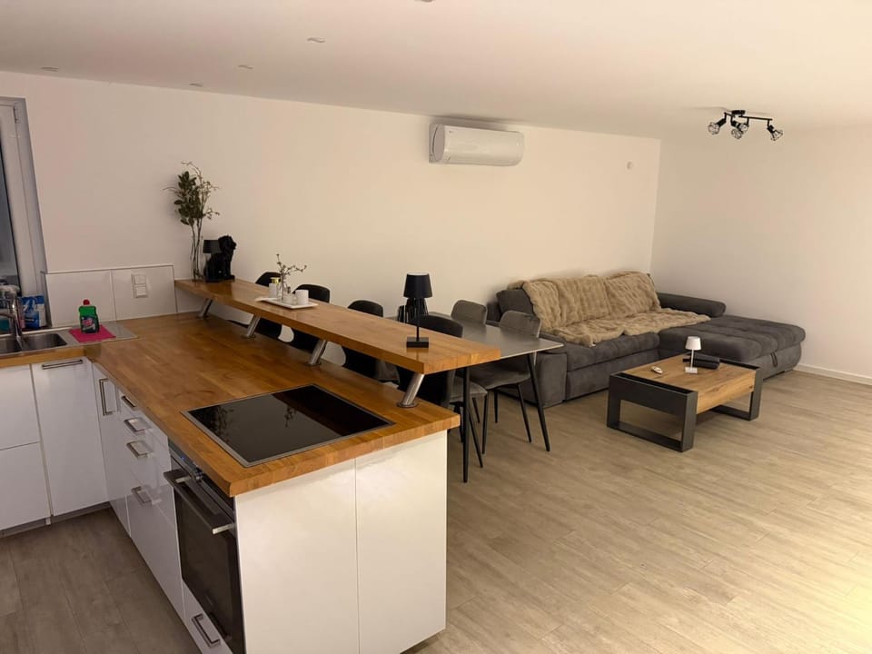 Modernes Einfamilienhaus direkt am Rhein Apartment in Karlsruhe