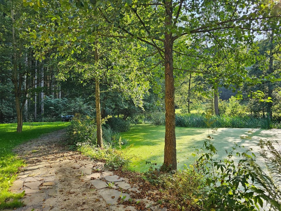 Ferienwohnung Schwarzmühle 3 Apartment in Erzgebirgskreis