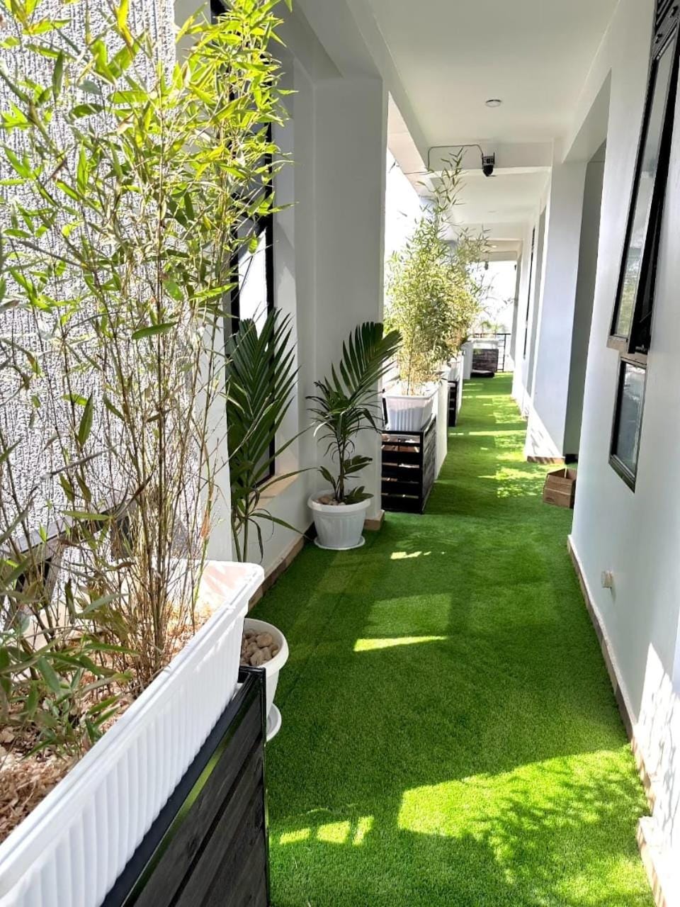 Day, Garden, Garden view