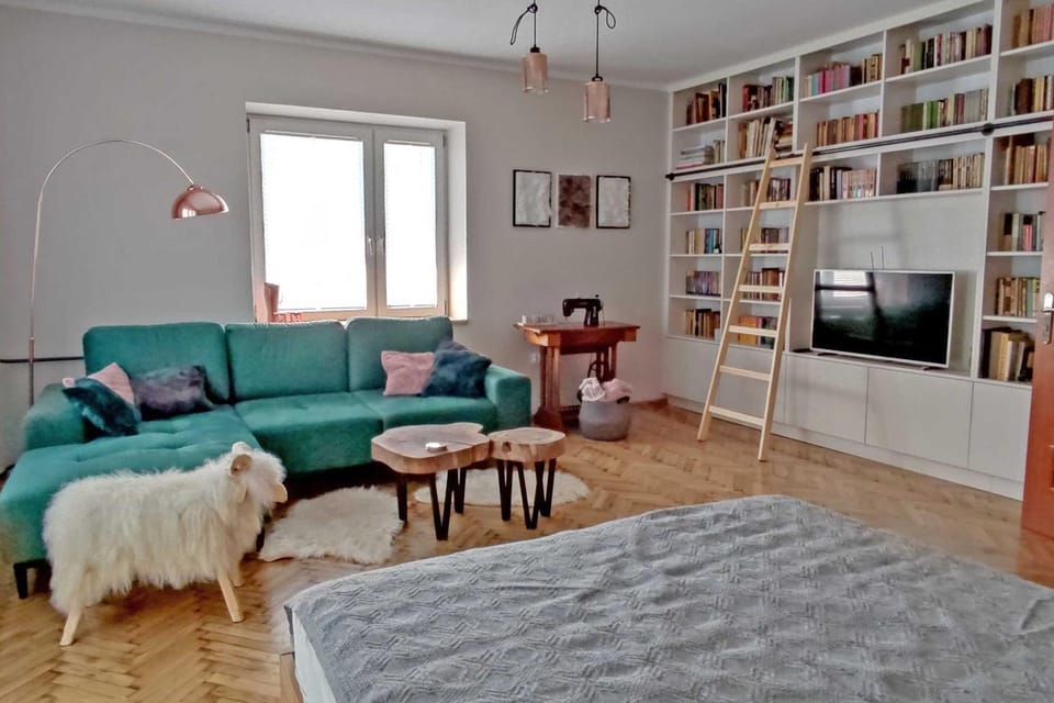 Communal lounge/ TV room, Bed, Library, TV and multimedia, Living room, Photo of the whole room, Seating area, Evening entertainment, Bedroom