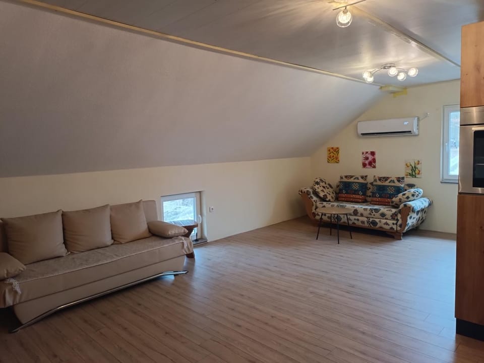 Imanje Mihailovic 3 Apartment in Serbia