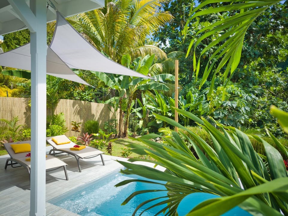 Garden, Swimming pool, sunbed