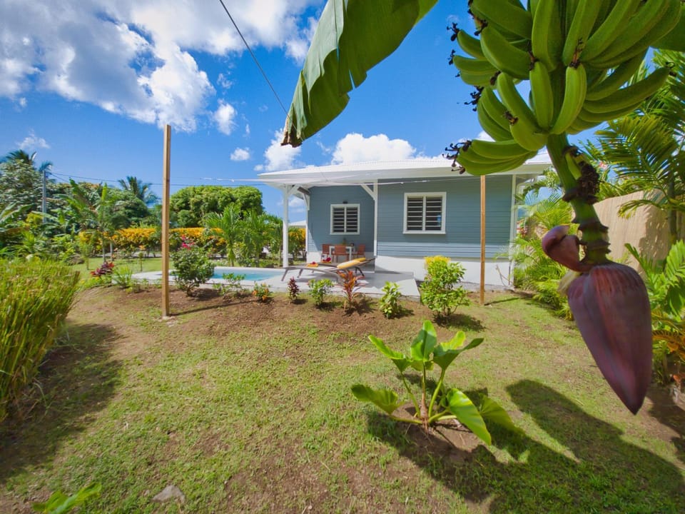 Property building, Garden, Swimming pool